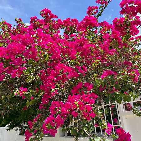 Les Villas Du Bambou - Villa Paprika Jusqu'A 6 Pers Le Gosier  Eksteriør bilde